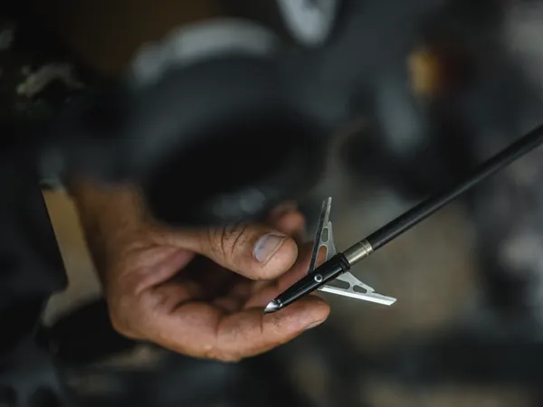 Hand holding an arrow tipped with a Rage expandable broadhead