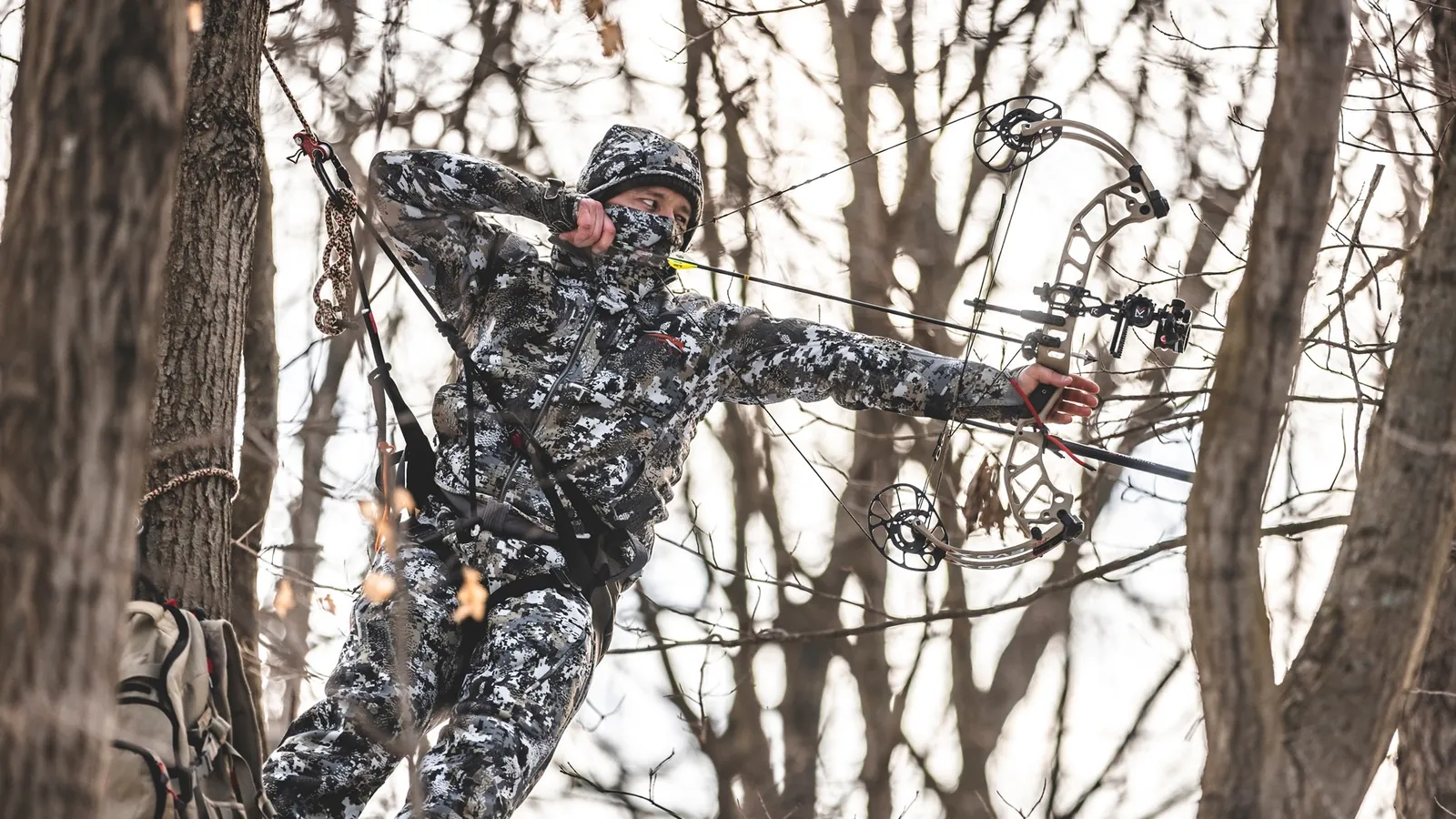 Hunter in a tree saddle drawing a compound bow around the trunk